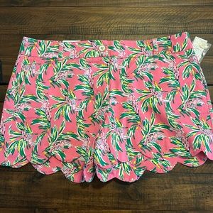 Crown & Ivy Shelby Shorts